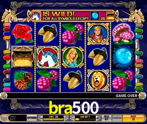 Descubra o Mundo do Cassino Online com bra500